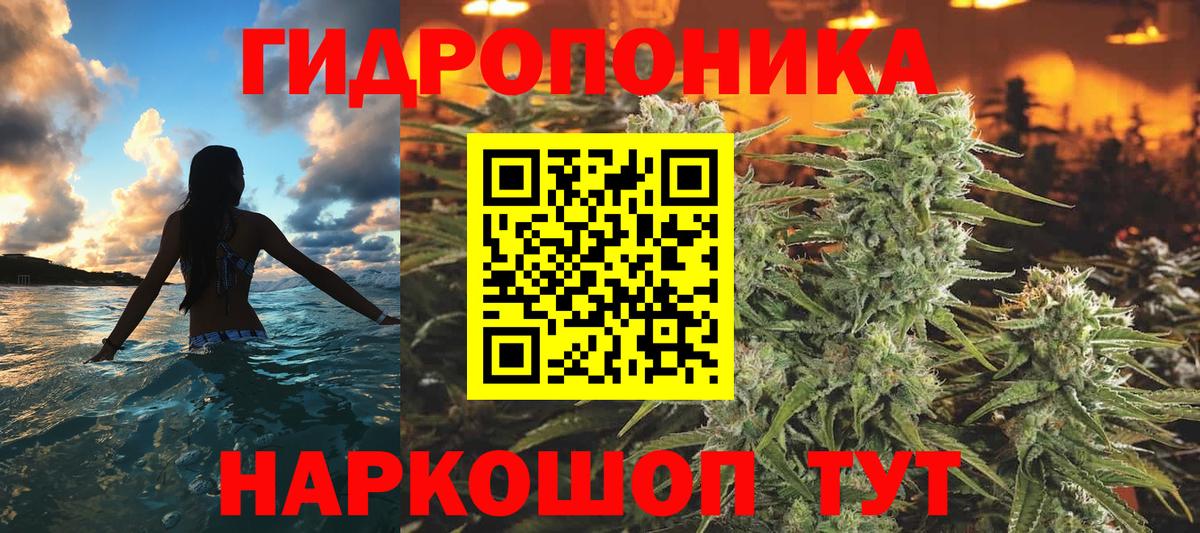 Конопля VHQ  Бошки Шишки гибрид  Вход с VPN  Углич  Каннабис план  Каннабис SATIVA & INDICA 